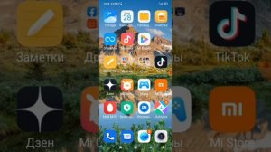 Incoming Viber Call Android 10 XIAOMI