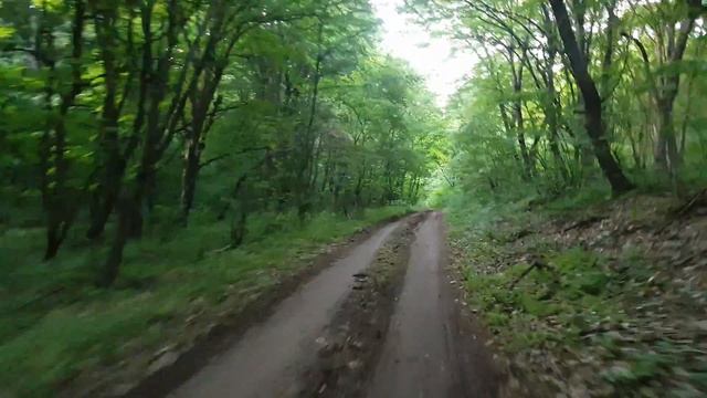 красивая тропинка среди леса .в чечне смотреть онлайн