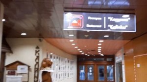 гостиница Космос,обзор номера и завтрака
