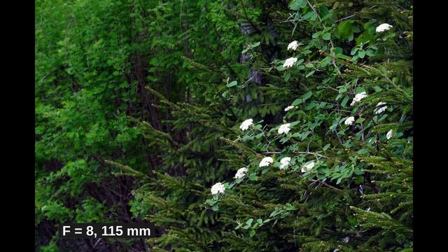 Fujinon XC 50-230 mm zoom lens – Why I like it? смотреть онлайн