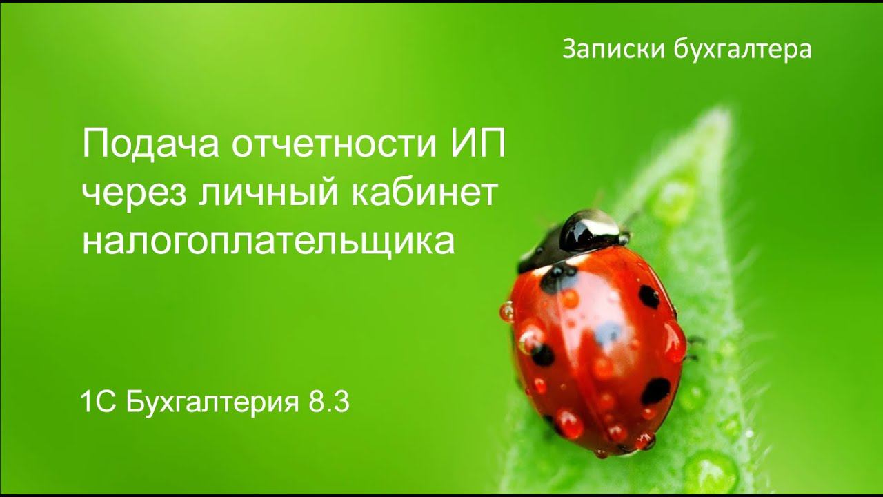 Отчетность ИП через личный кабинет налогоплательщика
