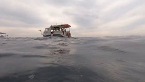 Морская прогулка к мысу Айя Отмечаем день рождения