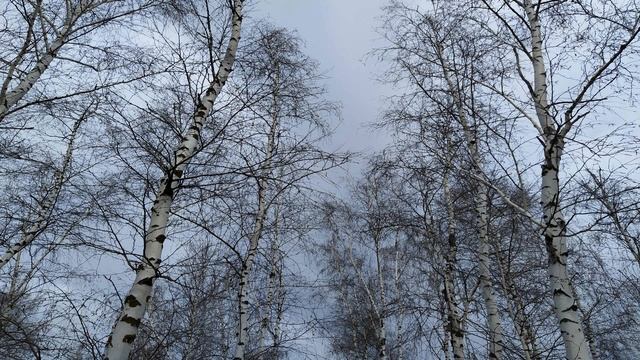 Великий Понедельник Народные приметы на Страстную неделю.Что нужно делать