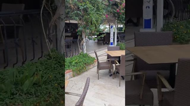 Club Turtas Beach Hotel Турция отдых в октябре 2021. смотреть онлайн