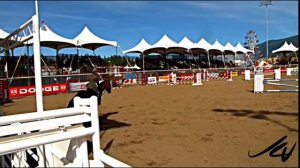 выездка конкур забег