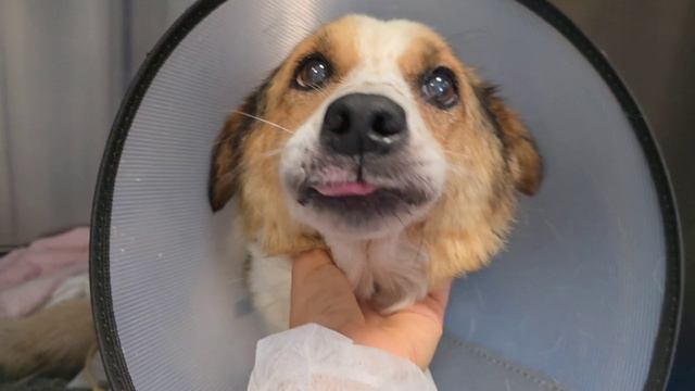  1 часть.
Тут и Нукер и Боня.
Нукер плачет. А  Боня радуется нам.