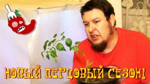 Суперхоты сезона  2018 или как вырастить острый перец чили дома?