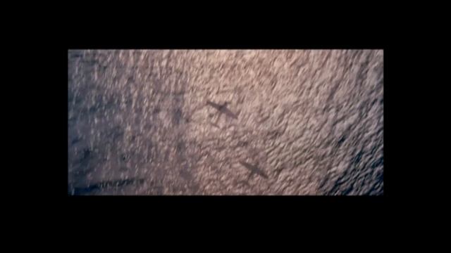 Buena Vista International | Pearl Harbor - Tráiler смотреть онлайн