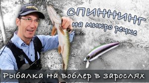 УЛЬТРА-ЛАЙТ СПИННИНГ на микро речке: пошёл за голавлем, а клюёт щука! | Щука на ультралайт