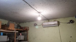 что важно для содержания кроликов в гараже