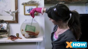 XHow - Spring Cleaning Tips
