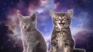 Мяу Муя Муя😺😺
