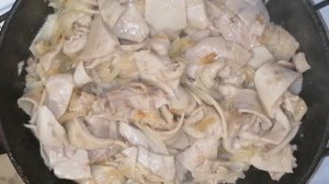 Свиной желудок