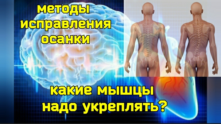 Жизнь и работа мозга и сердца зависит от осанки. 2 уникальных  упражнения для глубоких мышц спины