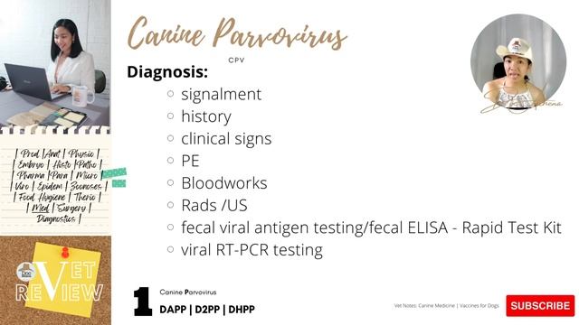 Canine Parvovirus смотреть онлайн
