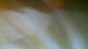 Осенью любуюсь я(Осени все рады, осени все рады.Осень в золотом наряде в гости к нам идёт(наброски)