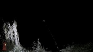 Я его дождался!!! Трофейный Налим с берега на донки Отличная рыбалка на налима