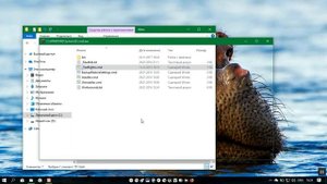 Как установить Windows Media Center в Windows 10