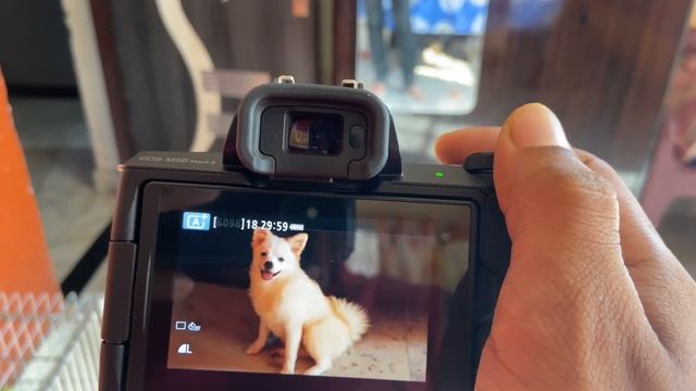 My new dji gimbal and canon m50 mark 2 смотреть онлайн