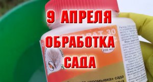 9 апреля. Чем я обрабатываю свой сад. 30+ это возраст или что-то другое