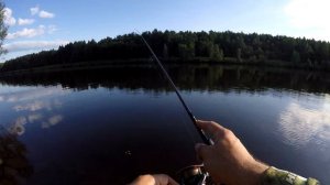 Радикальный микроджиг канала имени Москвы. Слаги и Окунь летом.