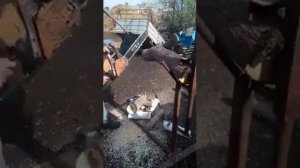 Самодельное приспособление для пилки дров