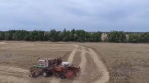 Обзор на зерноуборочный комбайн ЕНИСЕЙ 1200Р, и уборка овса на комбайне НИВА СК5