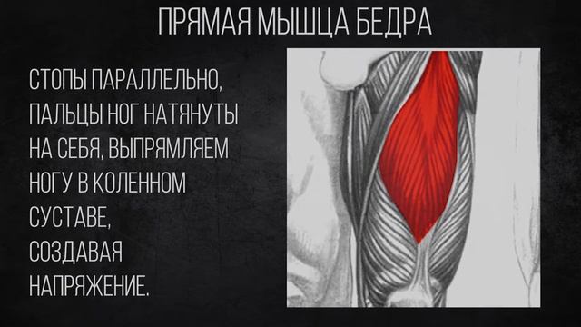 Нижние конечности Ноги