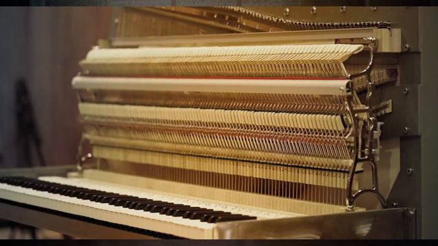 NATIVE INSTRUMENTS | UNA CORDA (UNOFFICIAL AD) смотреть онлайн