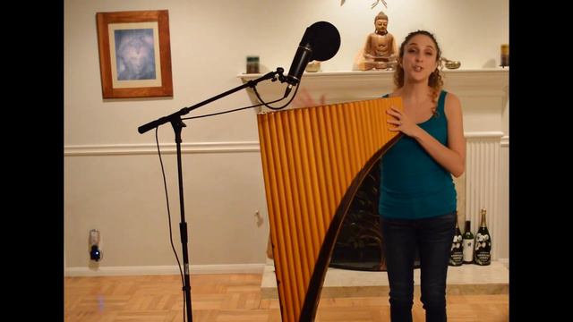 GIANT pan flute (demo) смотреть онлайн