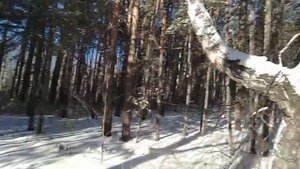 Подписчик - человек слова или как? Где брать карты? Синица в руках! АБВГАТ