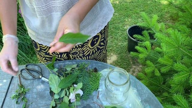 Черенкование. Как размножить растения своими руками.