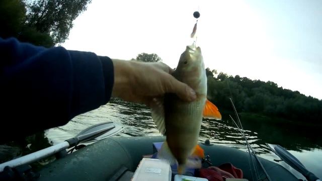 Ловля Язя на Спиннинг \ Рыбалка с Санычем \ #язь #спиннинг смотреть онлайн