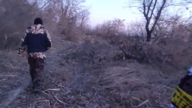 ?Обзор ПОКУПОК//?Съездили за ВЕРБОЙ/?Сколько нужно веточек вербы?/ смотреть онлайн