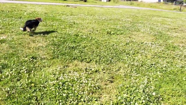 Утренняяя разминка... смотреть онлайн