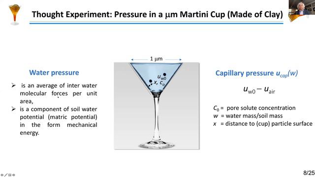 Adequacy of Conventional Pore Water Pressure Concept in Geotechnical & Geoenvironmental Engineering смотреть онлайн