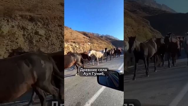 Джип Тур Дагестан