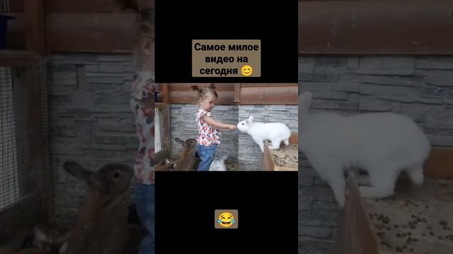 ? #дети #животные #kidsvideo #kids