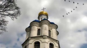 журавли рубцов