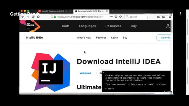 Setting up java and intelij JDK setup