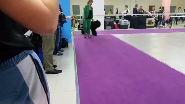 6 октября 2018 г. МОНО Атлантида Сука - класс чемпионов смотреть онлайн