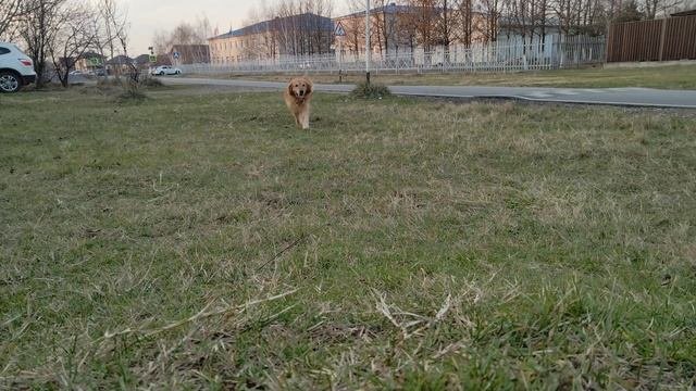 хан
