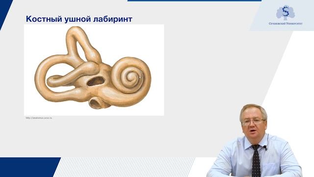 Методы исследования, клиническая анатомия и физиология, наружного и среднего и внутреннего уха