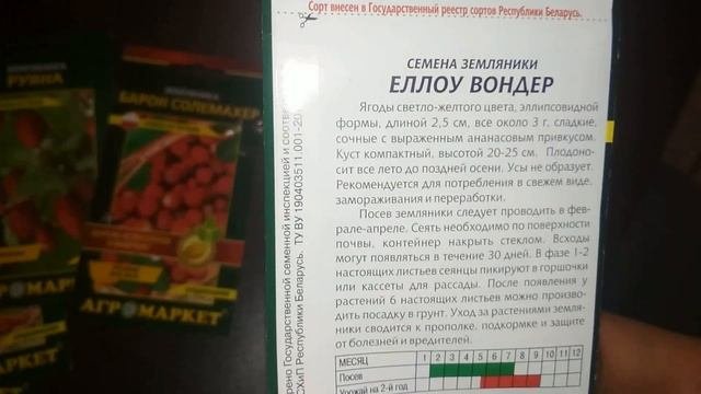 Очень урожайная ремонтантная земляника 2021 супер сорта.