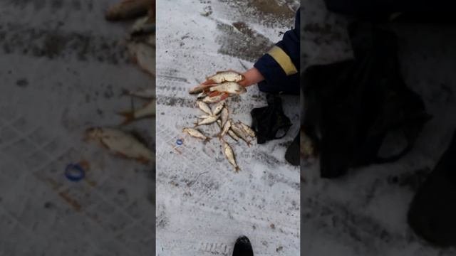 Новотроицкое водохранилище.