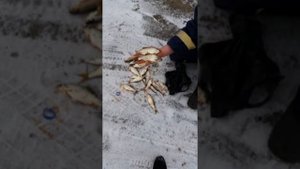 Новотроицкое водохранилище.