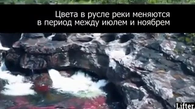Самая чистая вода в мире.???? смотреть онлайн