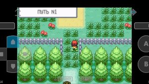 СТАРАЯ ИГРА, С ПОКЕМОНАМИ. Pokemon Fire Red.