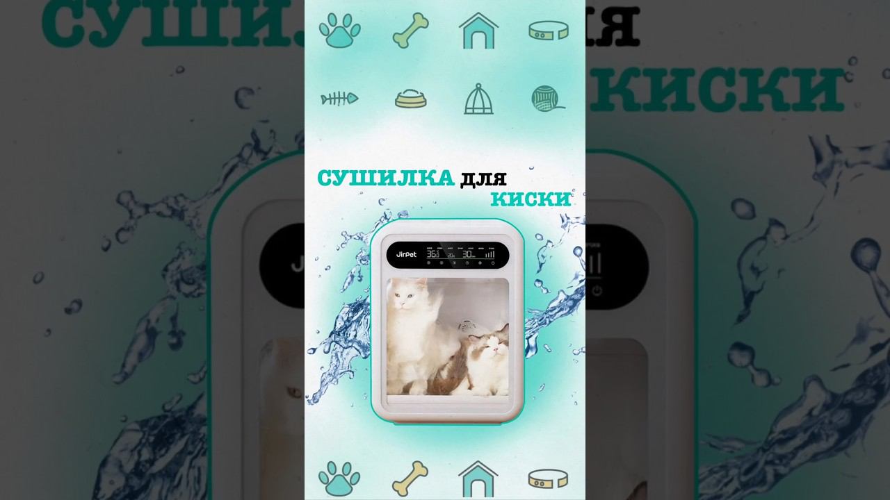 Автоматическая сушилка для животных собак и кошек. #товарыизкитая #доставкаизкитая смотреть онлайн