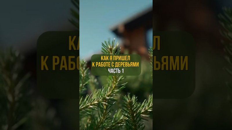 Как я пришел к работе с деревьями. Часть 1